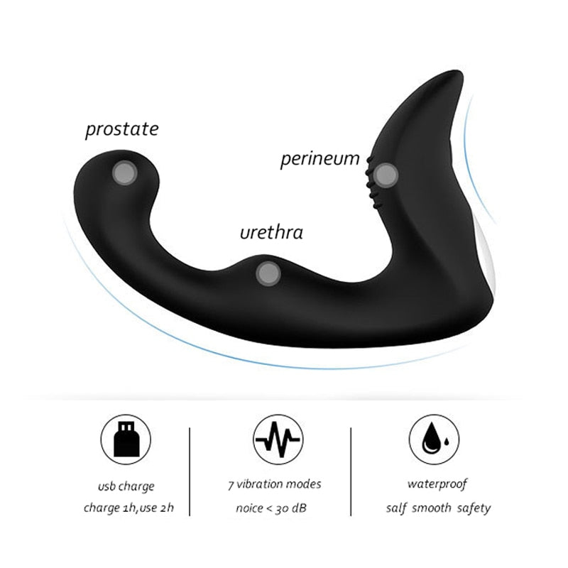 Anal Plug Prostate Massage Vibrator with 10 modes