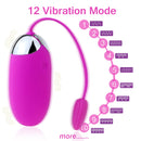 12 Frequency Vibrator G-spot Massage Silicone Wireless APP Remote Control Bluetooth Connect Pretty Love Sex Toys for Women Sexo