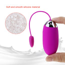 12 Frequency Vibrator G-spot Massage Silicone Wireless APP Remote Control Bluetooth Connect Pretty Love Sex Toys for Women Sexo