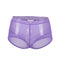 Womens Underwear Lingerie High Waist Mesh Transparent Panties M-3XL Red Purple Black Nylon Calcinha Sexy Ladies Underwear PS5154