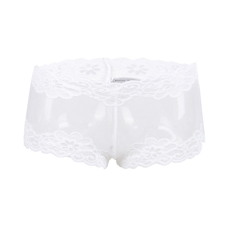 Lace Sexy Panties Lingerie Transparent Big Size Floral Low Waist Charming Women Briefs Comfortable Erotic Mesh Underwear DYS29