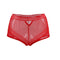Womens Underwear Lingerie High Waist Mesh Transparent Panties M-3XL Red Purple Black Nylon Calcinha Sexy Ladies Underwear PS5154
